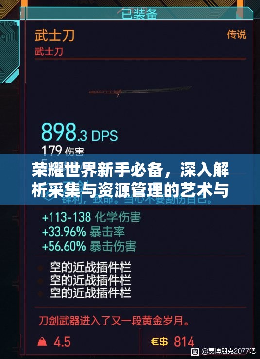 荣耀世界新手必备，深入解析采集与资源管理的艺术与技巧