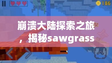 崩溃大陆探索之旅，揭秘sawgrass seedbomb的奇妙功能与用途