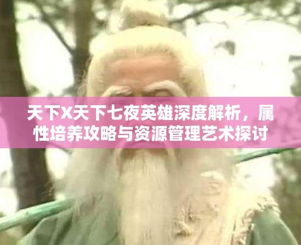 天下X天下七夜英雄深度解析，属性培养攻略与资源管理艺术探讨