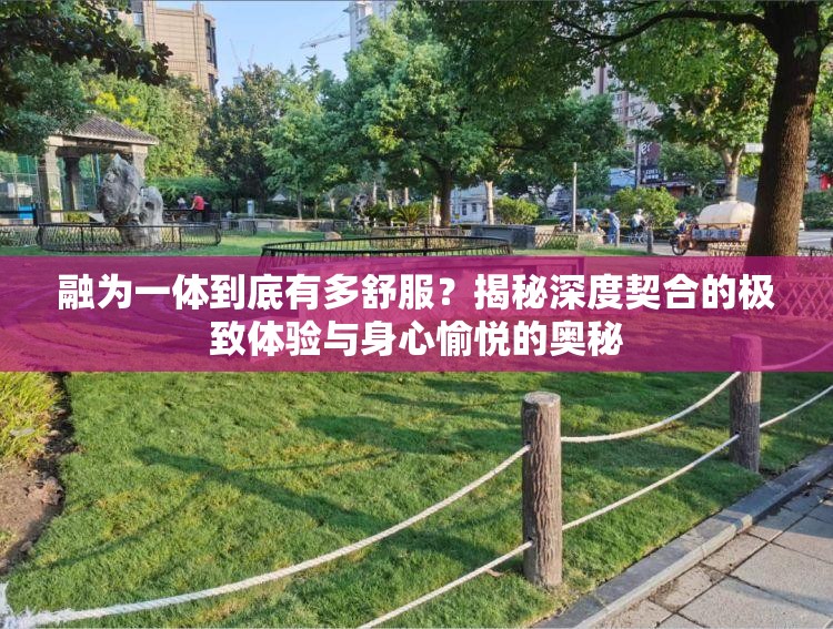 融为一体到底有多舒服？揭秘深度契合的极致体验与身心愉悦的奥秘