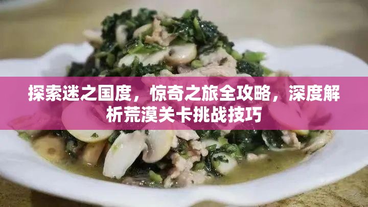 探索迷之国度，惊奇之旅全攻略，深度解析荒漠关卡挑战技巧