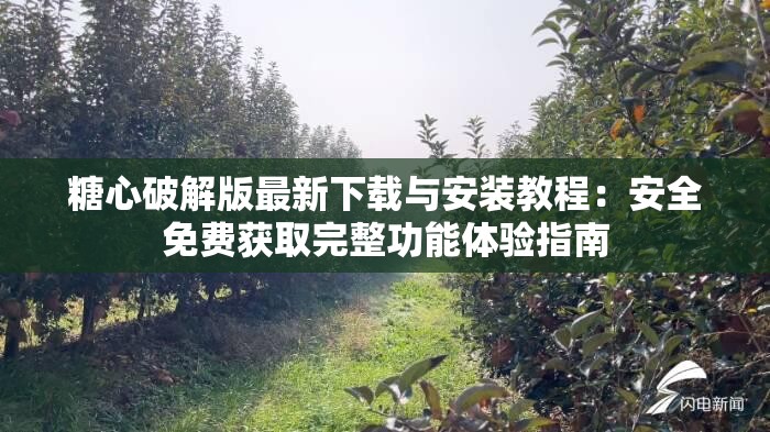 糖心破解版最新下载与安装教程：安全免费获取完整功能体验指南