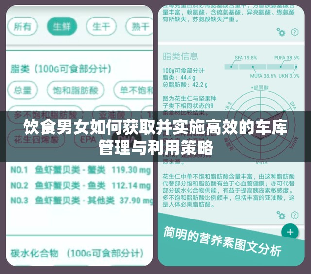 饮食男女如何获取并实施高效的车库管理与利用策略