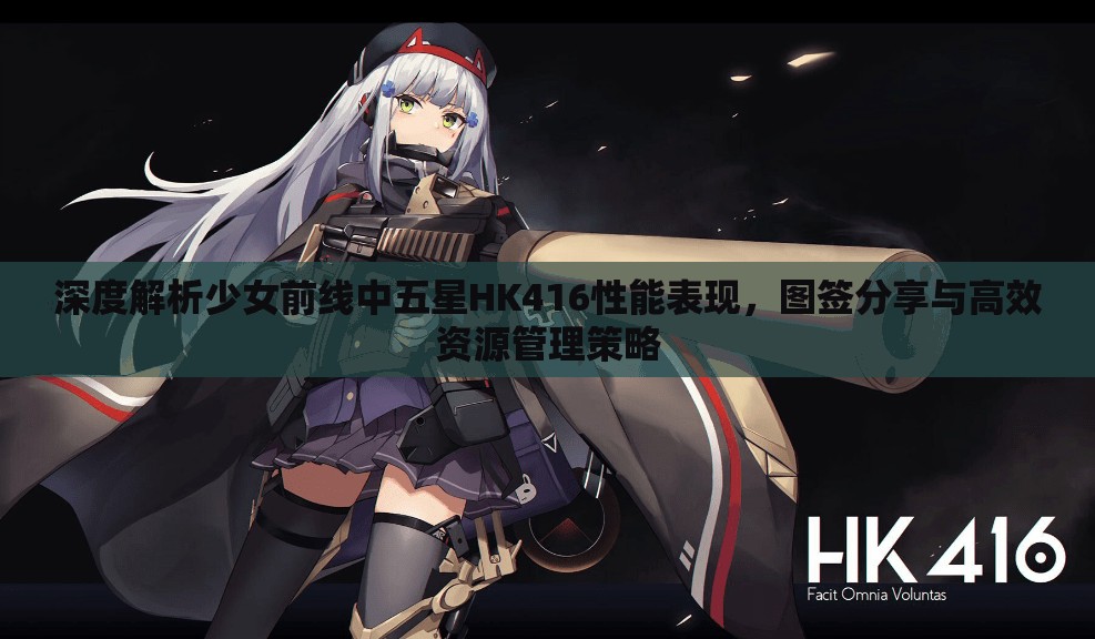 深度解析少女前线中五星HK416性能表现，图签分享与高效资源管理策略