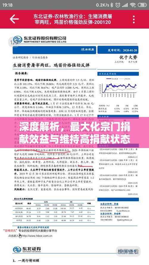 深度解析，最大化宗门捐献效益与维持高捐献状态的策略与实践