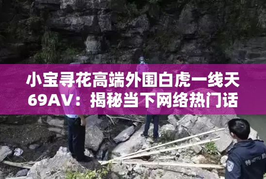 小宝寻花高端外围白虎一线天69AV：揭秘当下网络热门话题背后的真实故事与细节