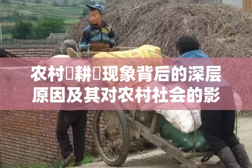 农村屌耕屄现象背后的深层原因及其对农村社会的影响分析
