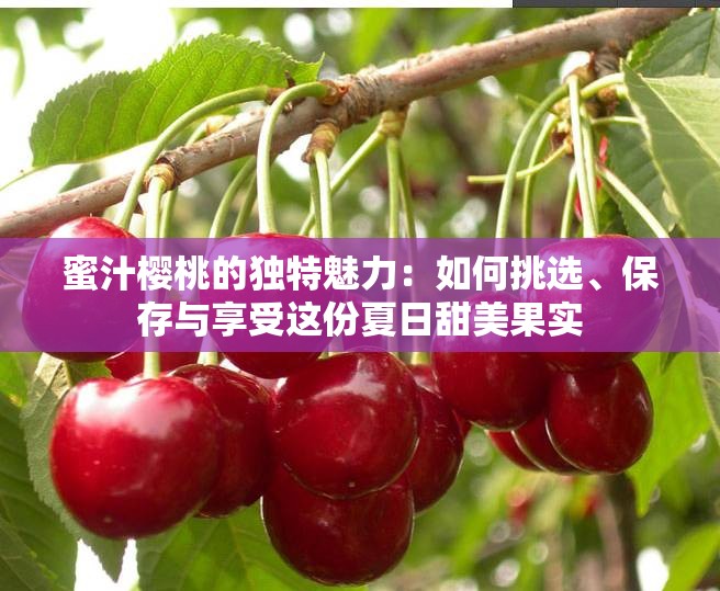 蜜汁樱桃的独特魅力：如何挑选、保存与享受这份夏日甜美果实