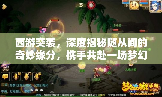 西游突袭，深度揭秘随从间的奇妙缘分，携手共赴一场梦幻般的奇幻之旅