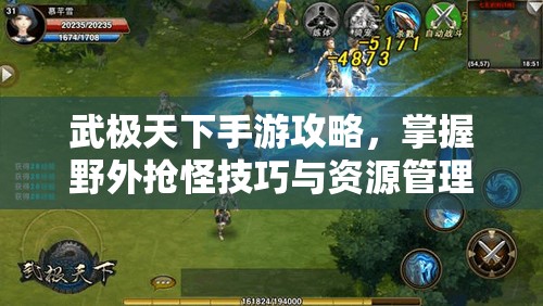 武极天下手游攻略，掌握野外抢怪技巧与资源管理策略，提升游戏竞争力