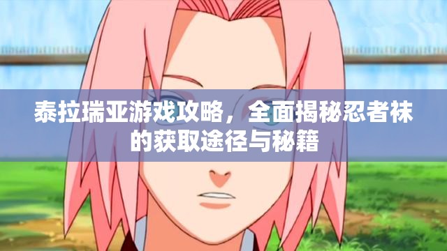 泰拉瑞亚游戏攻略，全面揭秘忍者袜的获取途径与秘籍