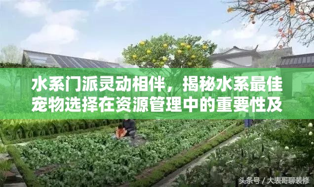 水系门派灵动相伴，揭秘水系最佳宠物选择在资源管理中的重要性及实战策略