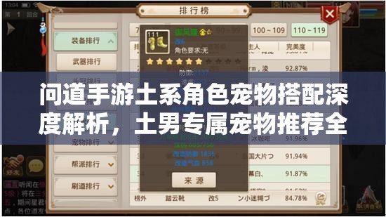 问道手游土系角色宠物搭配深度解析，土男专属宠物推荐全攻略