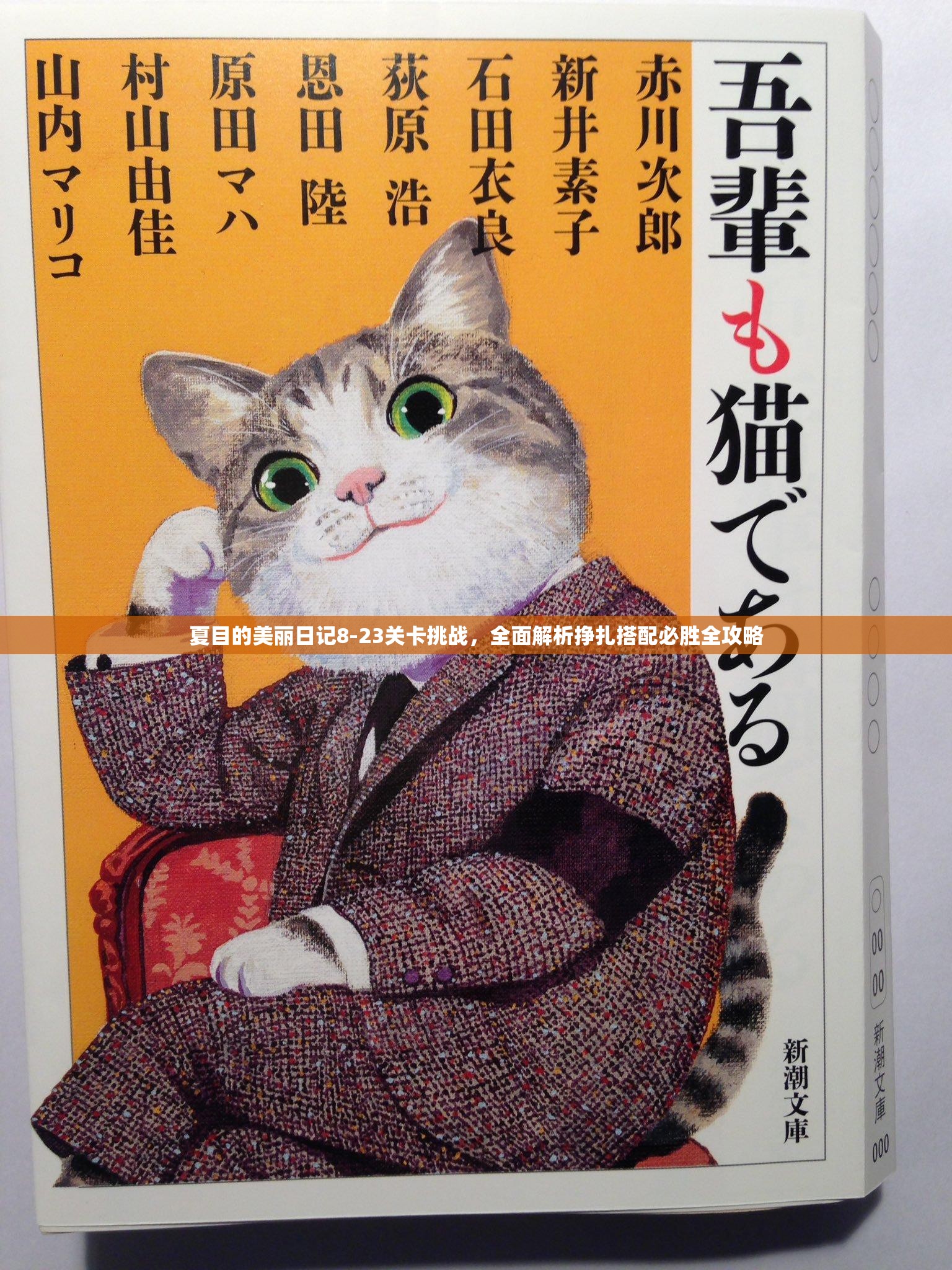 夏目的美丽日记8-23关卡挑战，全面解析挣扎搭配必胜全攻略