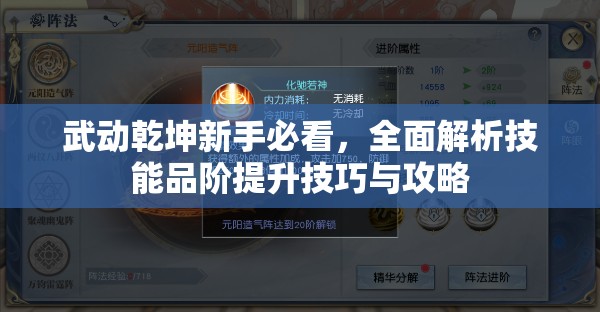 武动乾坤新手必看，全面解析技能品阶提升技巧与攻略