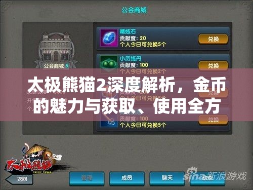 太极熊猫2深度解析，金币的魅力与获取、使用全方位攻略指南