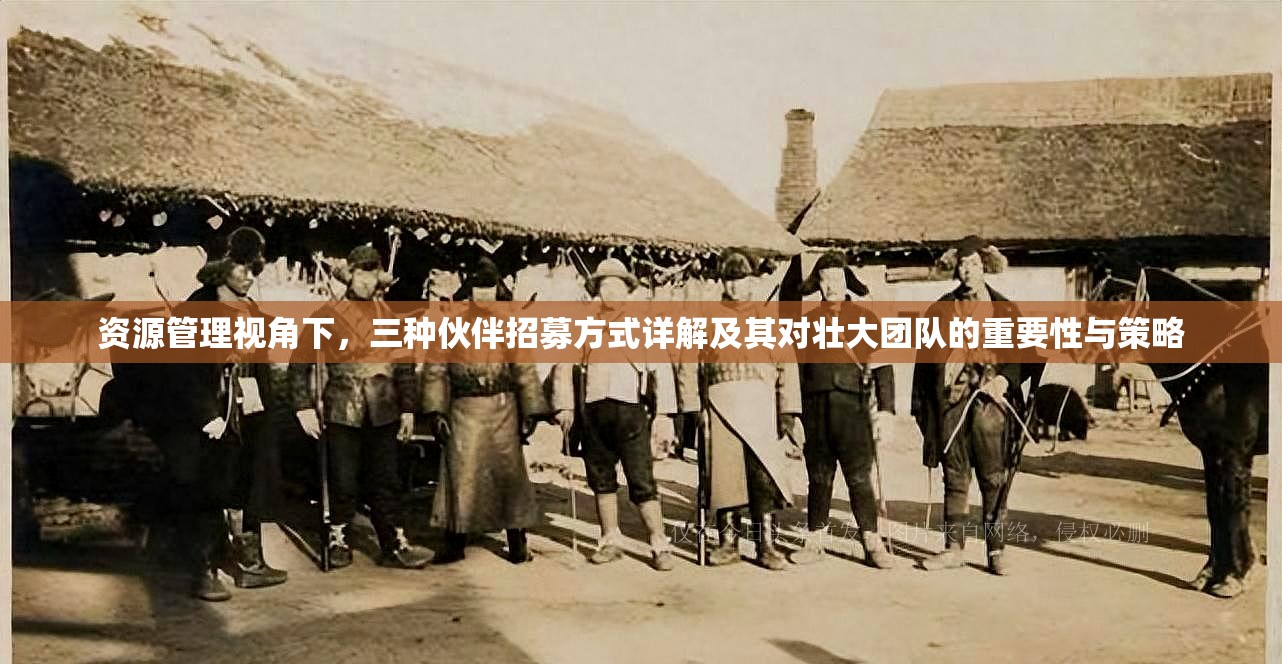 资源管理视角下，三种伙伴招募方式详解及其对壮大团队的重要性与策略