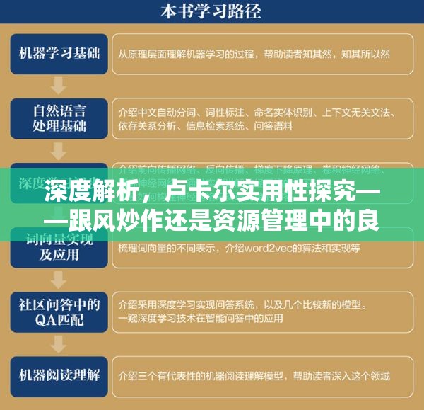 深度解析，卢卡尔实用性探究——跟风炒作还是资源管理中的良心英雄？