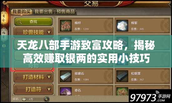 天龙八部手游致富攻略，揭秘高效赚取银两的实用小技巧