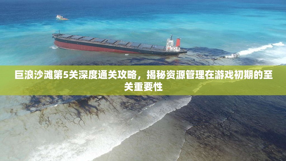 巨浪沙滩第5关深度通关攻略，揭秘资源管理在游戏初期的至关重要性