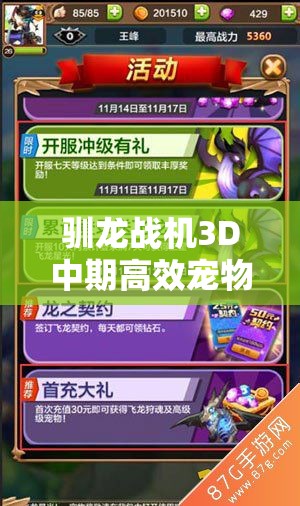 驯龙战机3D中期高效宠物搭配全攻略，助你解锁战斗表现新境界