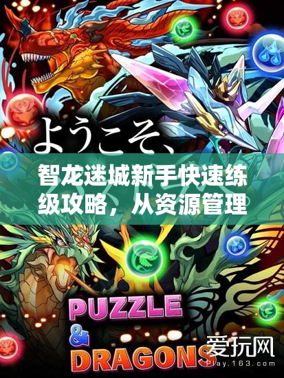 智龙迷城新手快速练级攻略，从资源管理视角解析高效升级策略