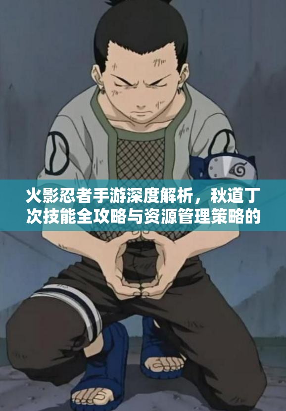 火影忍者手游深度解析，秋道丁次技能全攻略与资源管理策略的重要性