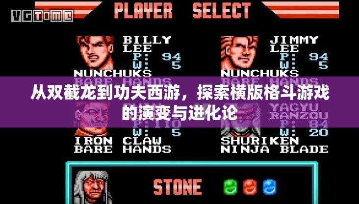 从双截龙到功夫西游，探索横版格斗游戏的演变与进化论