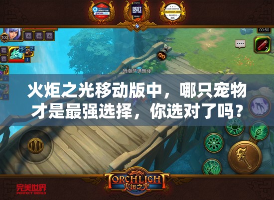 火炬之光移动版中，哪只宠物才是最强选择，你选对了吗？