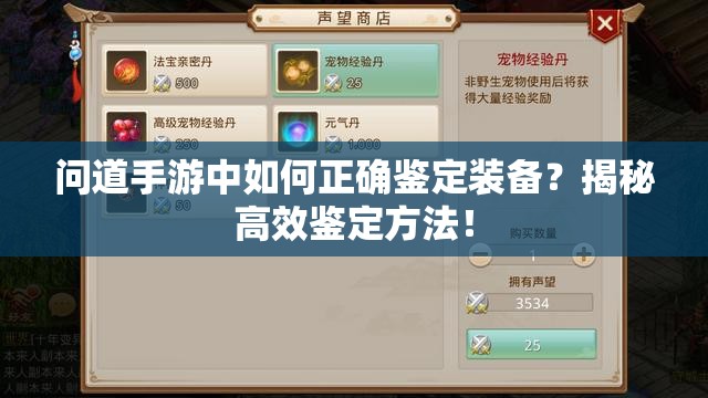 问道手游中如何正确鉴定装备？揭秘高效鉴定方法！
