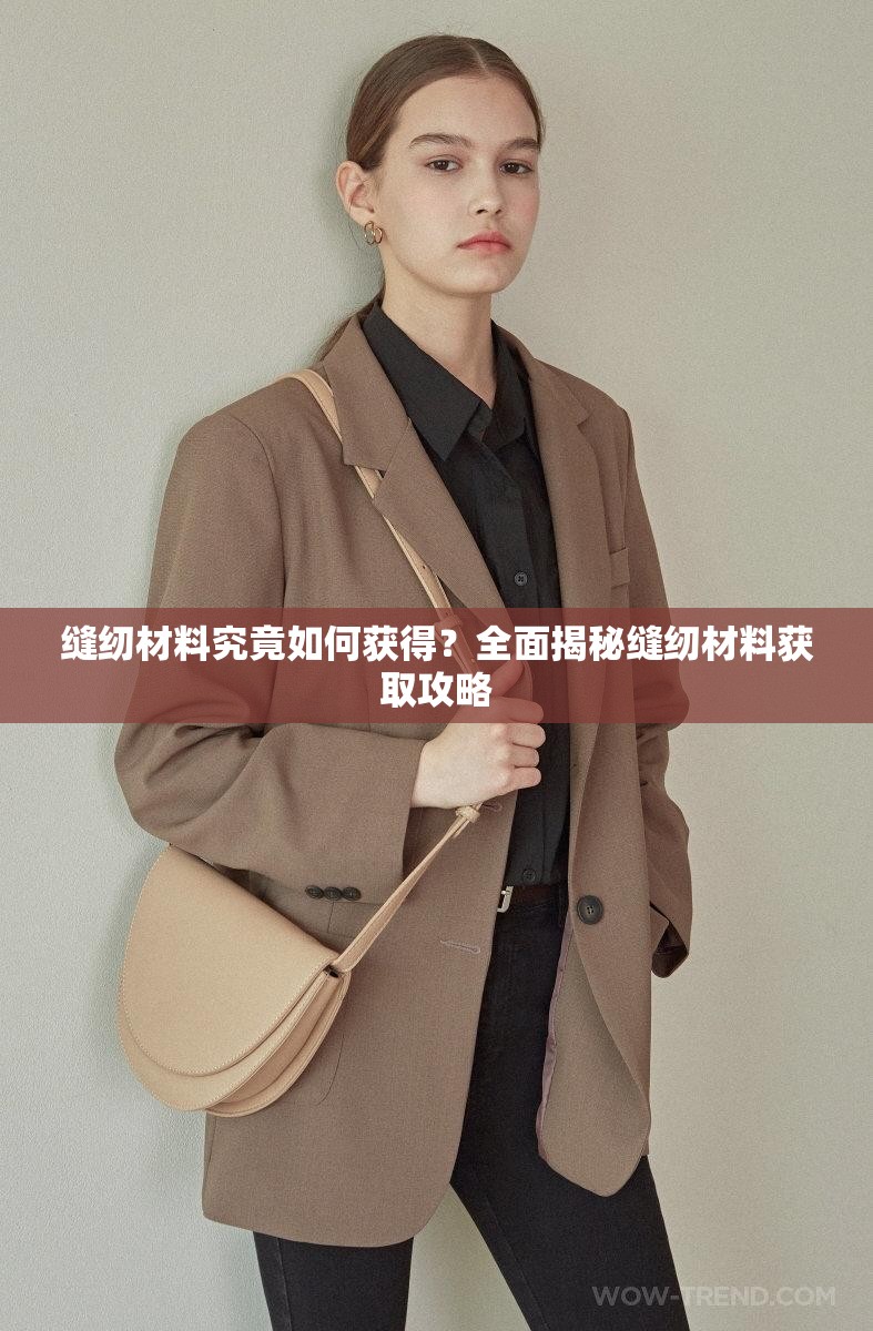 缝纫材料究竟如何获得？全面揭秘缝纫材料获取攻略