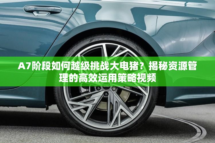 A7阶段如何越级挑战大电猪？揭秘资源管理的高效运用策略视频