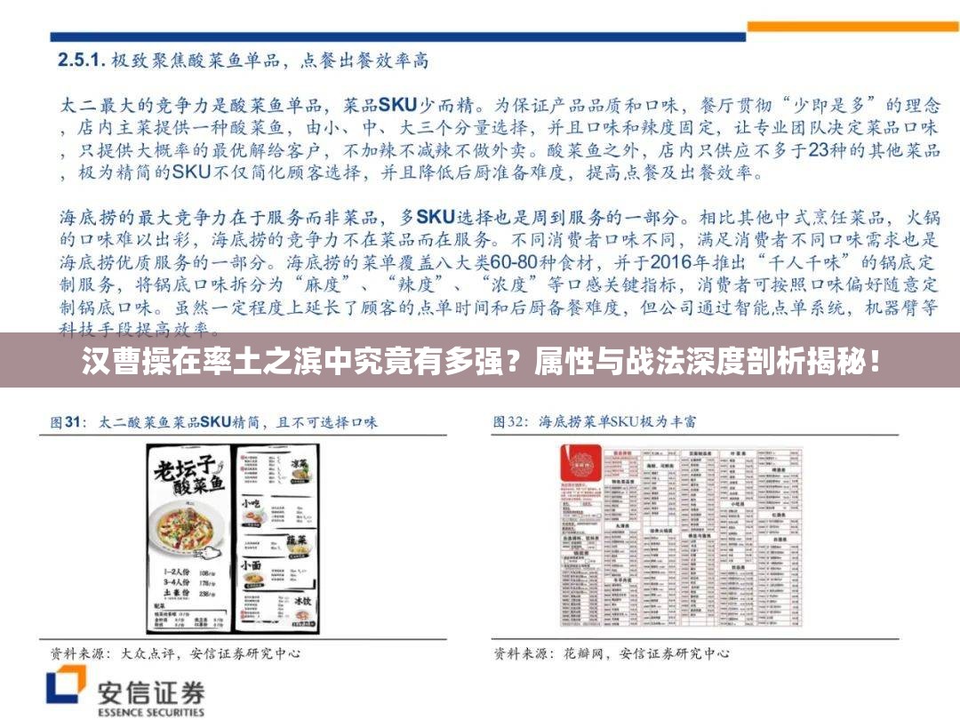 汉曹操在率土之滨中究竟有多强？属性与战法深度剖析揭秘！