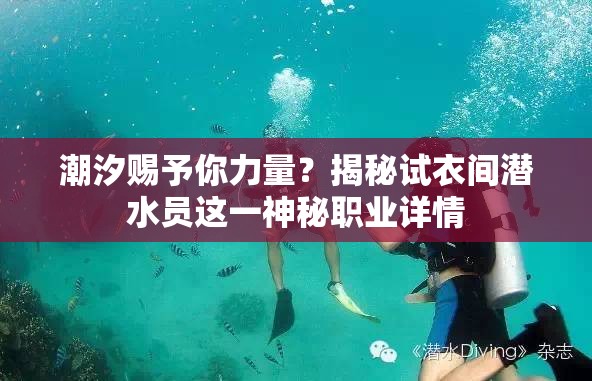 潮汐赐予你力量？揭秘试衣间潜水员这一神秘职业详情