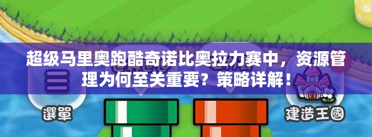 超级马里奥跑酷奇诺比奥拉力赛中，资源管理为何至关重要？策略详解！