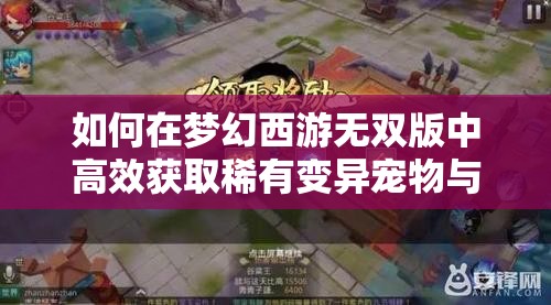 如何在梦幻西游无双版中高效获取稀有变异宠物与变异宝宝？