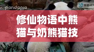 修仙物语中熊猫与奶熊猫技能究竟有何独特之处，详解引发好奇？