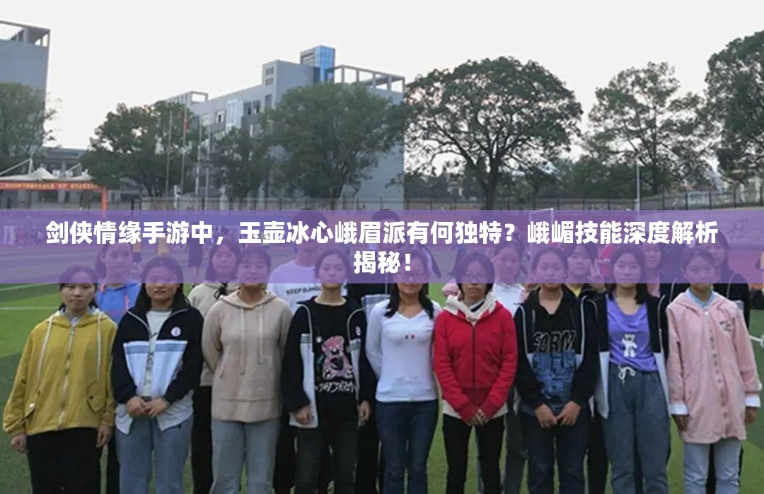 剑侠情缘手游中，玉壶冰心峨眉派有何独特？峨嵋技能深度解析揭秘！