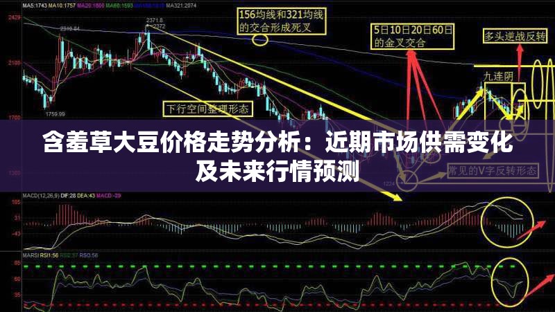 含羞草大豆价格走势分析：近期市场供需变化及未来行情预测