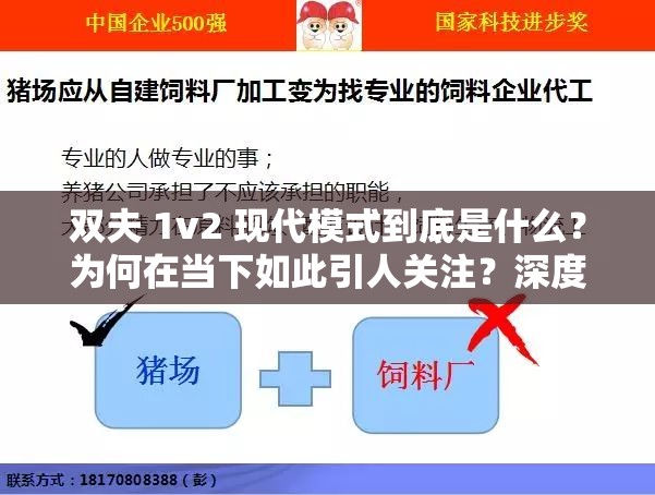 双夫 1v2 现代模式到底是什么？为何在当下如此引人关注？深度解析等你来