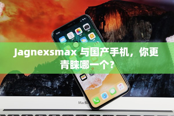 Jagnexsmax 与国产手机，你更青睐哪一个？