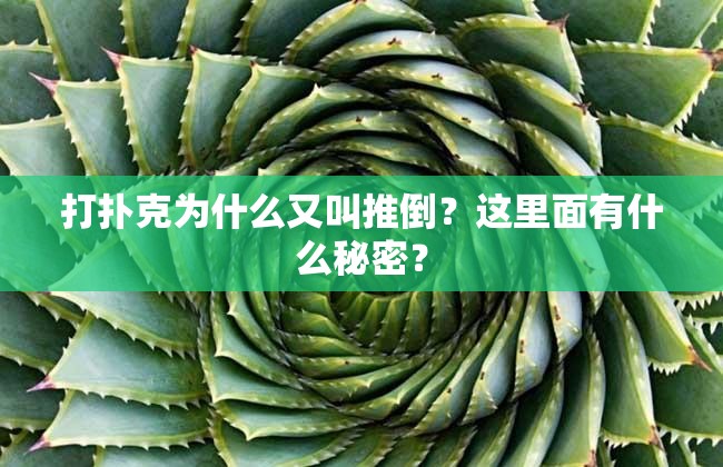 打扑克为什么又叫推倒？这里面有什么秘密？