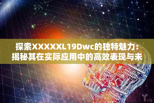 探索XXXXXL19Dwc的独特魅力：揭秘其在实际应用中的高效表现与未来潜力