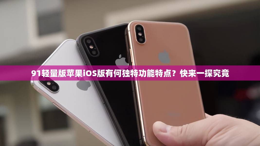 91轻量版苹果iOS版有何独特功能特点？快来一探究竟
