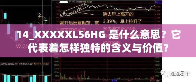 14_XXXXXL56HG 是什么意思？它代表着怎样独特的含义与价值？