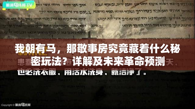 我朝有马，那敬事房究竟藏着什么秘密玩法？详解及未来革命预测