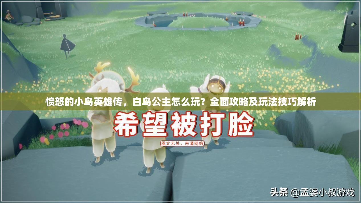愤怒的小鸟英雄传，白鸟公主怎么玩？全面攻略及玩法技巧解析