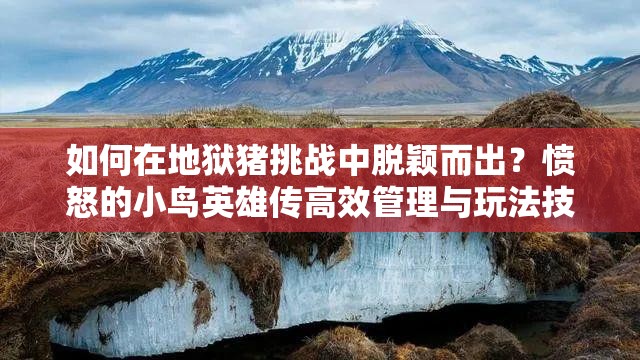 如何在地狱猪挑战中脱颖而出？愤怒的小鸟英雄传高效管理与玩法技巧揭秘