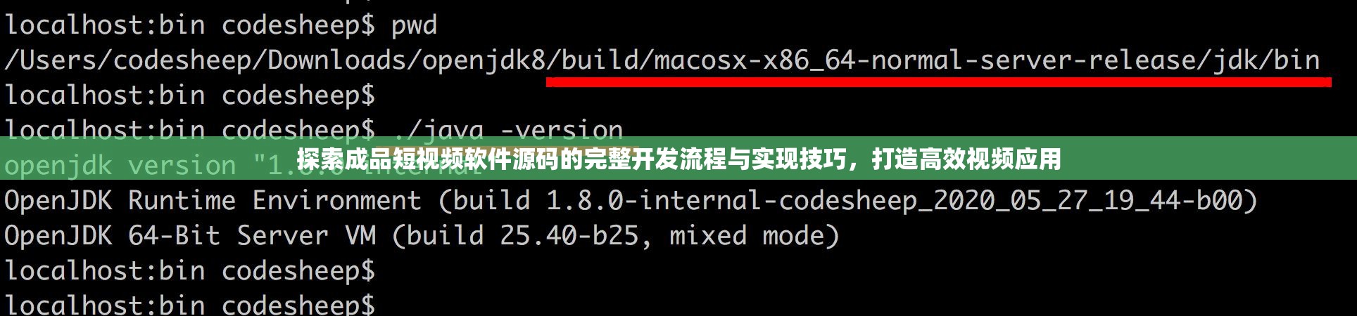 探索成品短视频软件源码的完整开发流程与实现技巧，打造高效视频应用