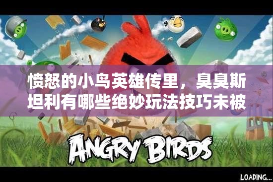 愤怒的小鸟英雄传里，臭臭斯坦利有哪些绝妙玩法技巧未被发掘？